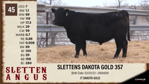 Lot #45 - SLETTENS DAKOTA GOLD 357