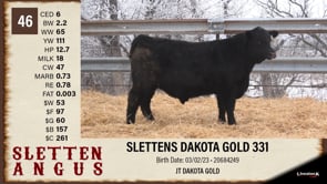 Lot #46 - SLETTENS DAKOTA GOLD 331