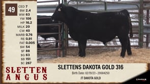 Lot #49 - SLETTENS DAKOTA GOLD 316
