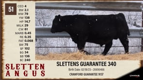 Lot #51 - SLETTENS GUARANTEE 340