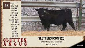 Lot #53 - SLETTENS ICON 325