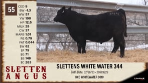 Lot #55 - SLETTENS WHITE WATER 344