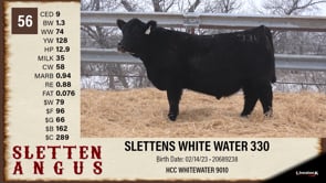 Lot #56 - SLETTENS WHITE WATER 330