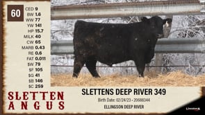Lot #60 - SLETTENS DEEP RIVER 349