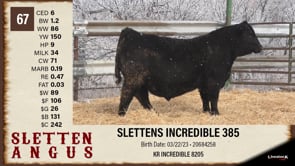 Lot #67 - SLETTENS INCREDIBLE 385