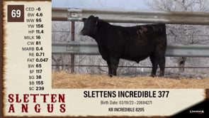 Lot #69 - SLETTENS INCREDIBLE 377