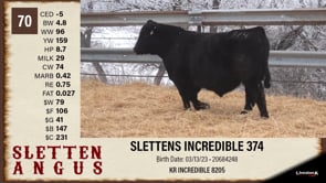Lot #70 - SLETTENS INCREDIBLE 374
