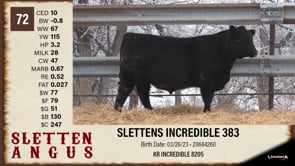 Lot #72 - SLETTENS INCREDIBLE 383
