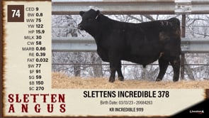 Lot #74 - SLETTENS INCREDIBLE 378