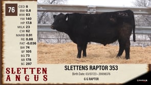 Lot #76 - SLETTENS RAPTOR 353