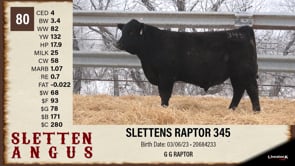 Lot #80 - SLETTENS RAPTOR 345
