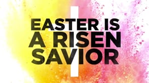 Easter Sunday: A Risen Saviour!