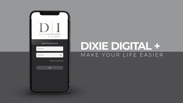 DIXSY Website