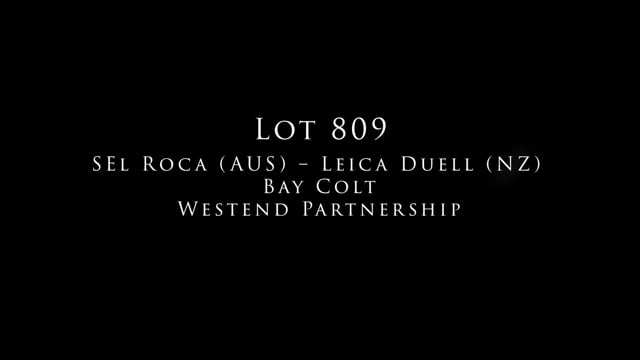 Lot 809