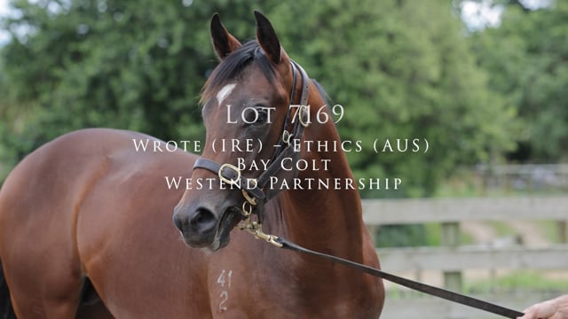 Lot 716