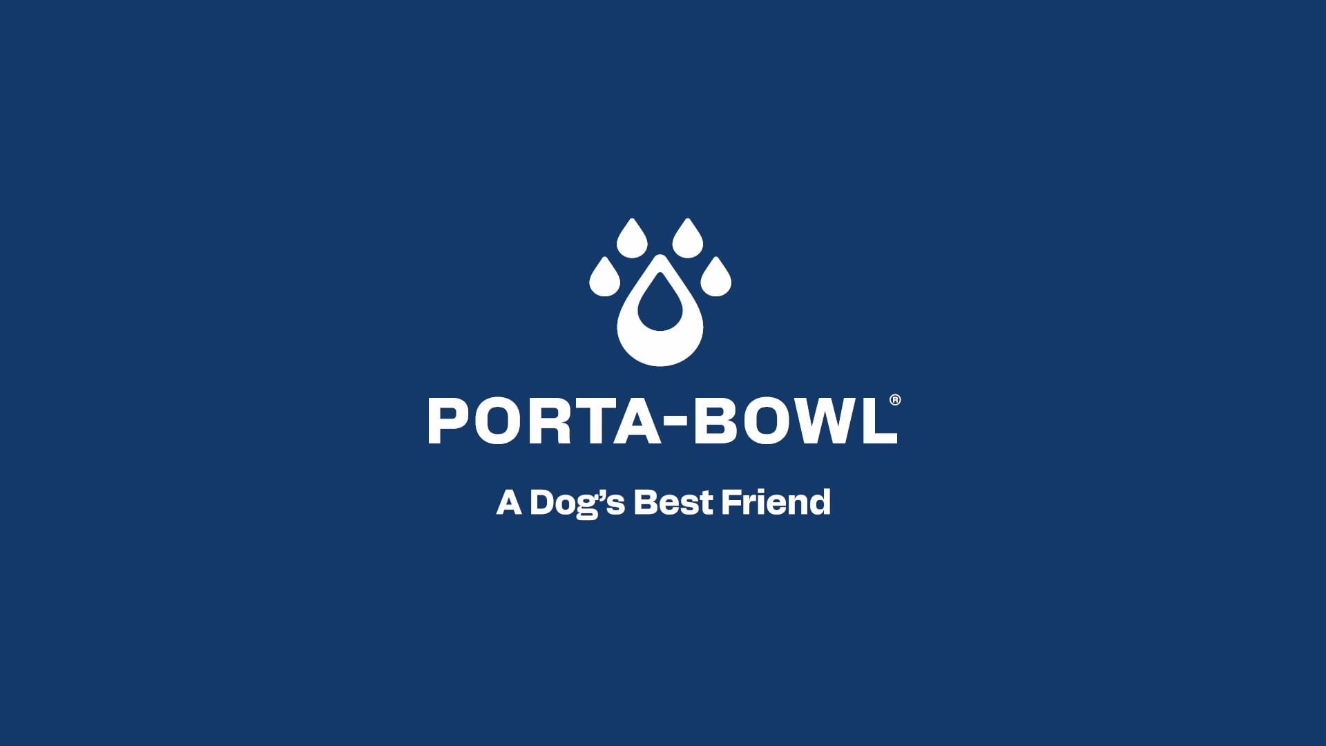 Porta-Bowl - Promo Video (2023) - MASTER
