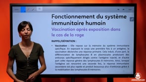 video : vaccination-apres-exposition-dans-le-cas-de-la-rage-3982