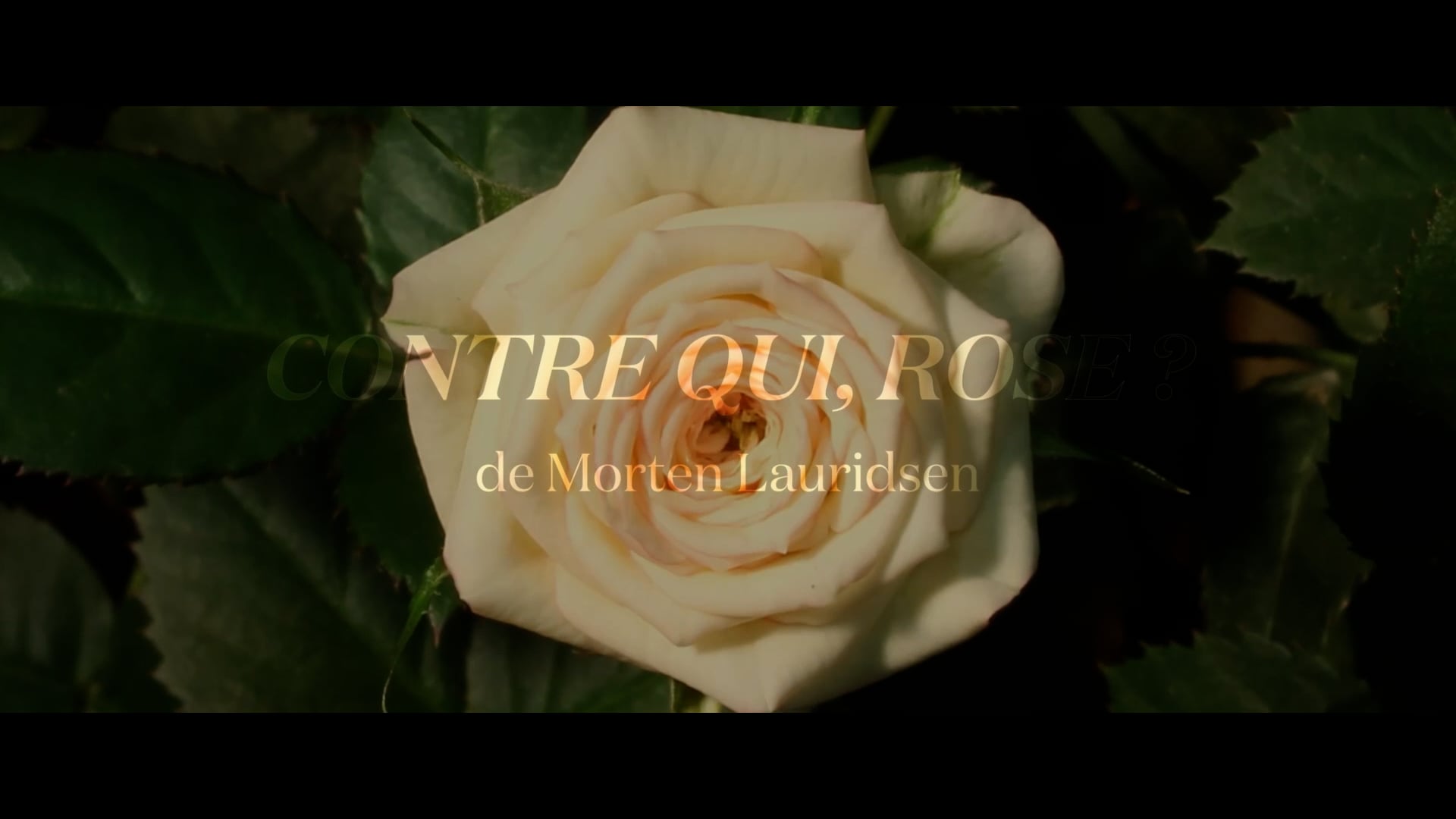 Contre qui, Rose ?