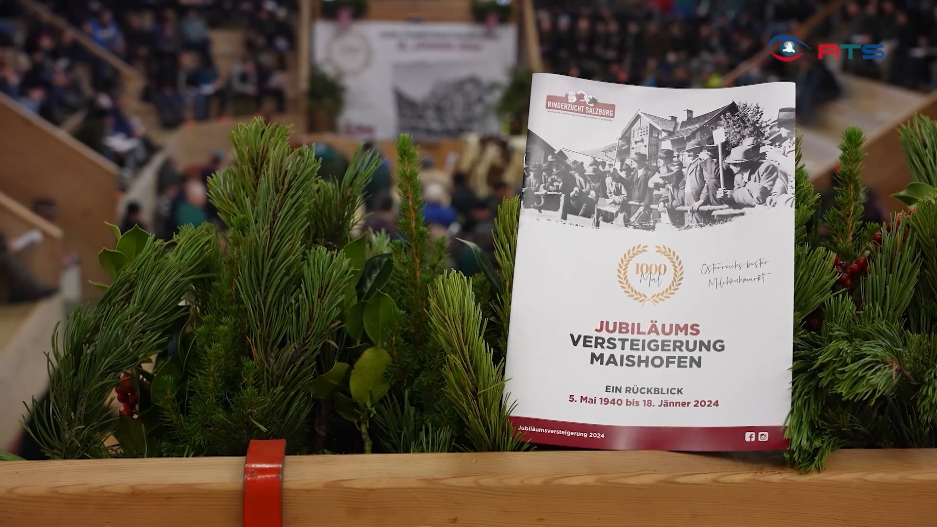 1000ste-zuchtrinderversteigerung-maishofen-als-mittelpunkt-der-viehzucht