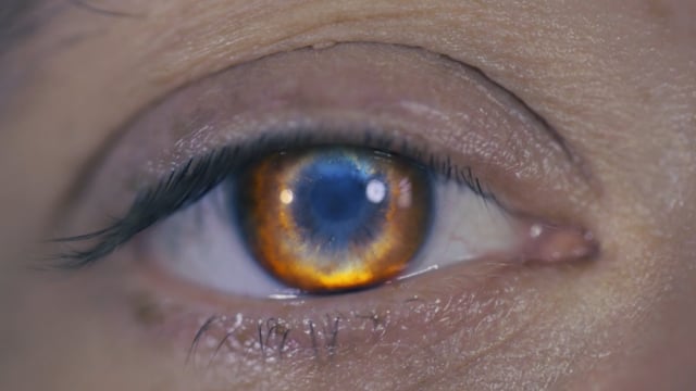 ART of NATURE - MOTHER EARTH TRAILER