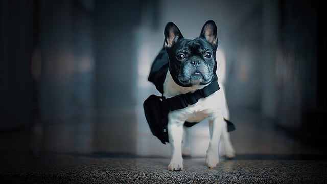 THE BUZZER EPISODE 1 TEASER