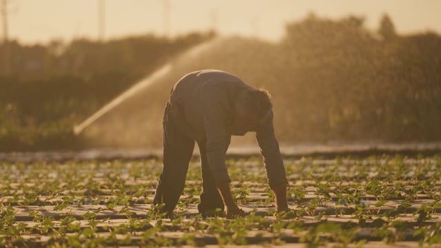 Advanced Treatment Provides Valuable Local Water Supply