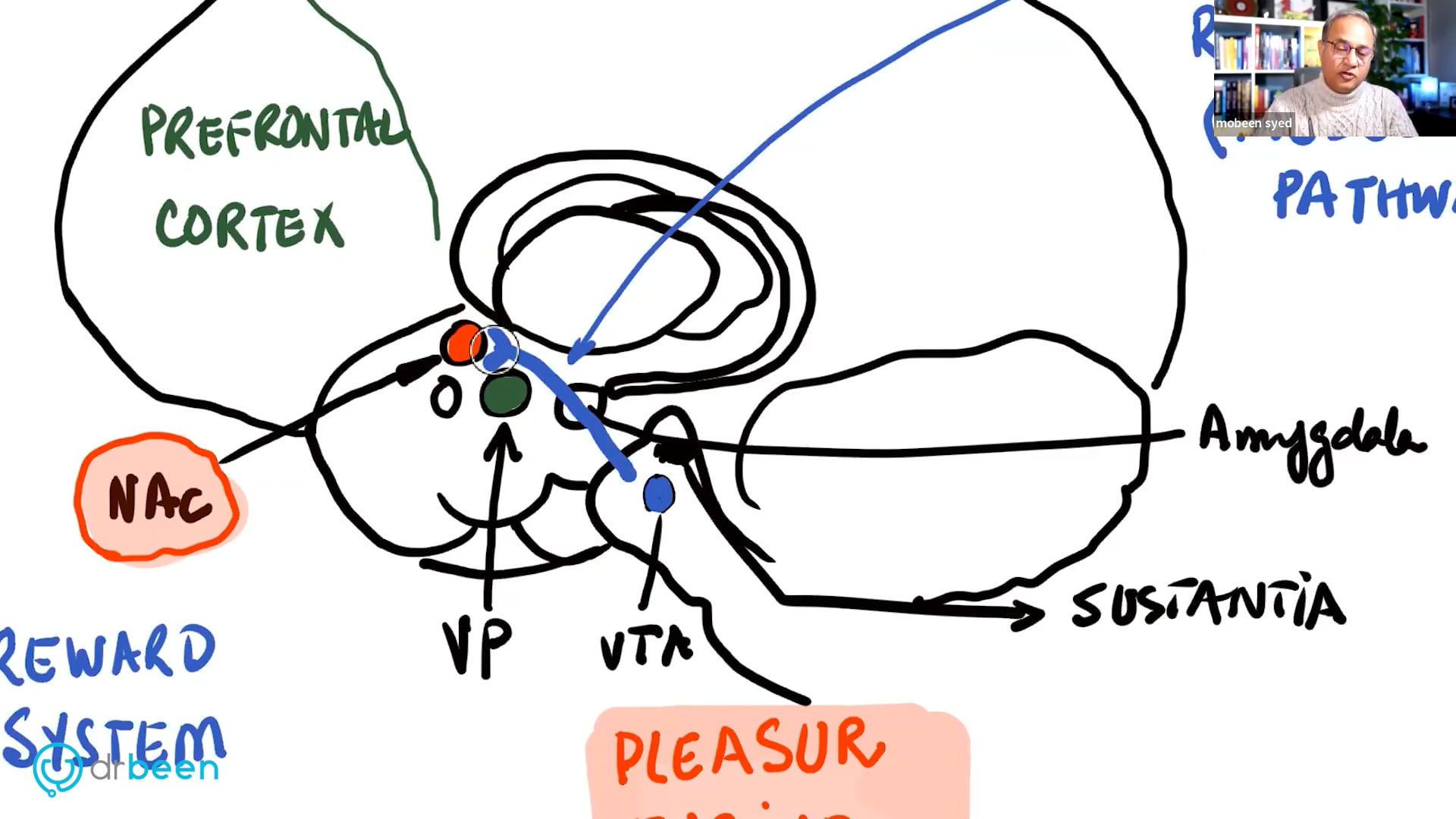 Mood Alteration and Rewarding Properties of Opioids (Pain Part 7)