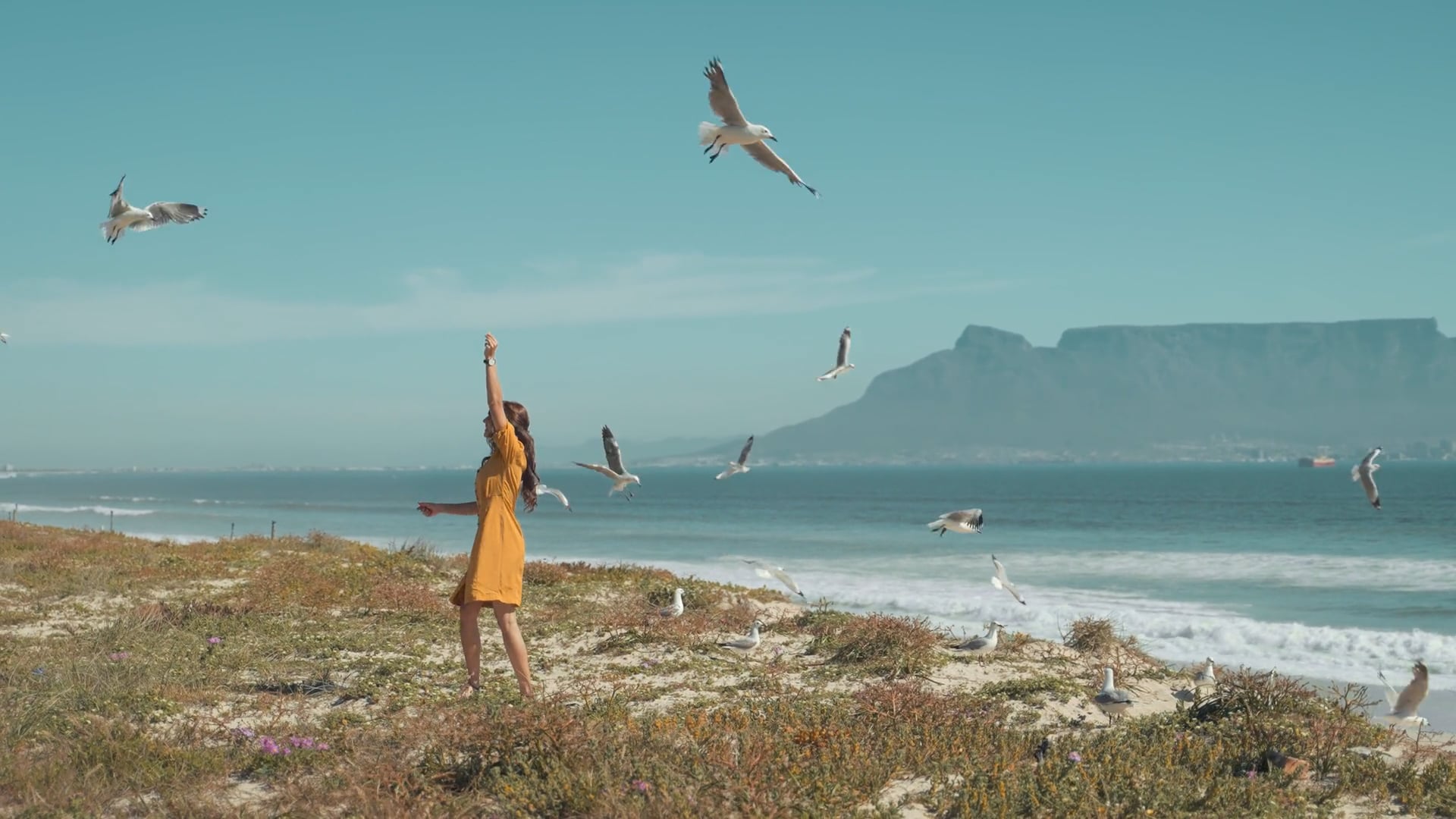 the team playstation