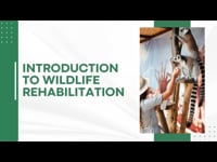 Module 1 Introduction to Wildlife Rehabilitation