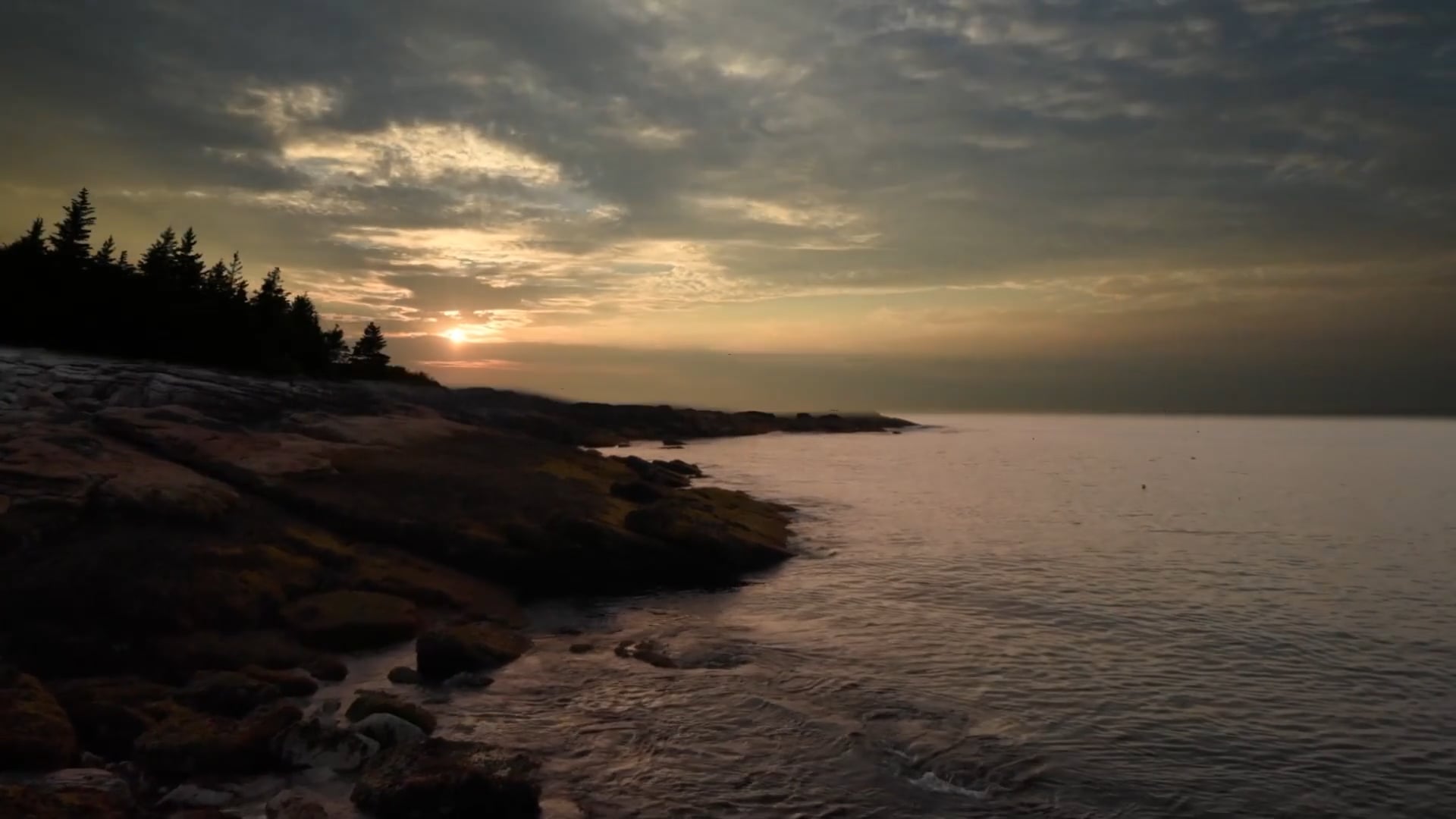 LiCo Media 2024 Reel