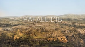 Demo Reel - Rafael Dib