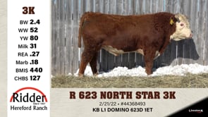 Lot #3K - R 623 NORTH STAR 3K