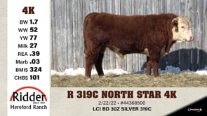 Lot #4K - R 319C NORTH STAR 4K
