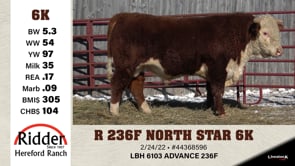 Lot #6K - R 236F NORTH STAR 6K