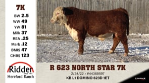 Lot #7K - R 623 NORTH STAR 7K