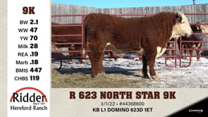 Lot #9K - R 623 NORTH STAR 9K