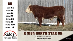 Lot #8K - R 5184 NORTH STAR 8K