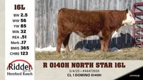 Lot #16L - R 0140H NORTH STAR 16L