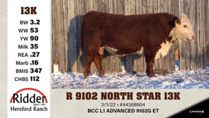 Lot #13K - R 9102 NORTH STAR 13K