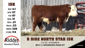 Lot #15K - R 9102 NORTH STAR 15K