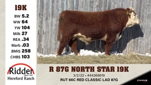 Lot #19K - R 87G NORTH STAR 19K