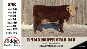 Lot #24K - R 7143 NORTH STAR 24K