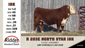 Lot #18K - R 203E NORTH STAR 18K