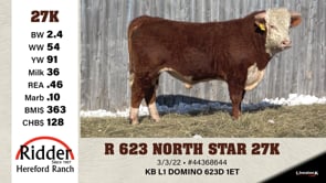 Lot #27K - R 623 NORTH STAR 27K