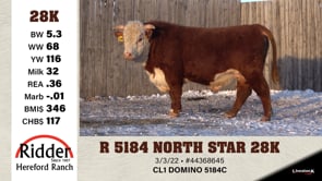 Lot #28K - R 5184 NORTH STAR 28K