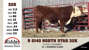 Lot #32K - R 0140 NORTH STAR 32K