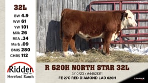 Lot #32L - R 620H NORTH STAR 32L