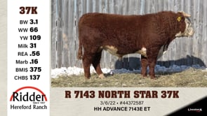 Lot #37K - R 7143 NORTH STAR 37K