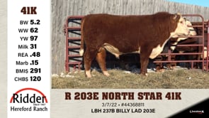 Lot #41K - R 203E NORTH STAR 41K