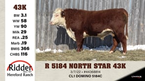 Lot #43K - R 5184 NORTH STAR 43K